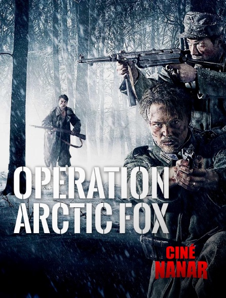 Ciné Nanar - Opération Arctic Fox