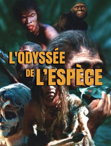 L'Odyssée de l'espèce - Documentaire Jpg