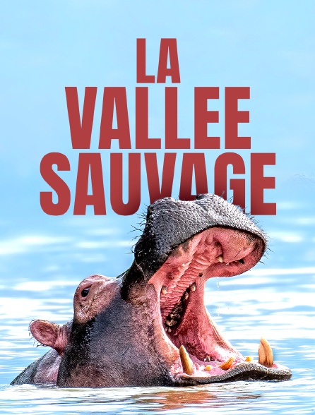 La vallée sauvage