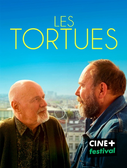 CINE+ Festival - Les Tortues