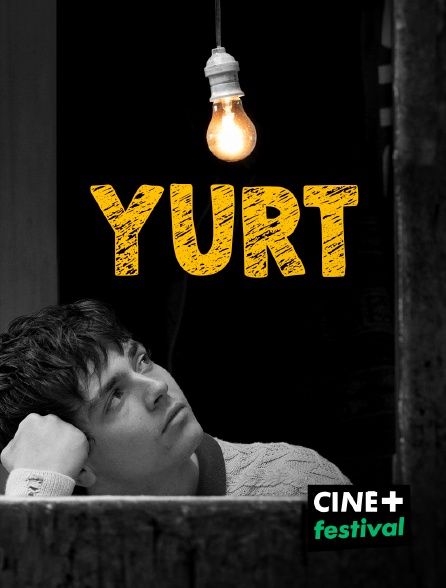 CINE+ Festival - Yurt