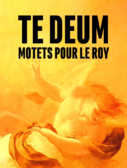 Te Deum : Motets pour le Roy