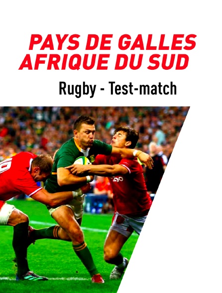 Rugby - Test-match : Pays de Galles / Afrique du Sud