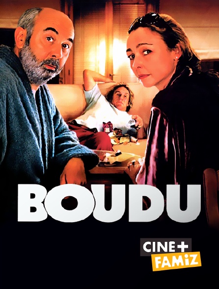 Ciné+ Famiz - Boudu