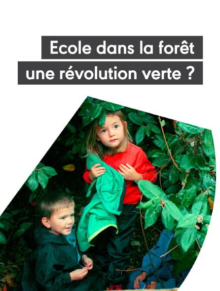 Ecole dans la forêt, une révolution verte ?