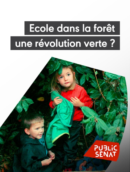 Public Sénat - Ecole dans la forêt, une révolution verte ?