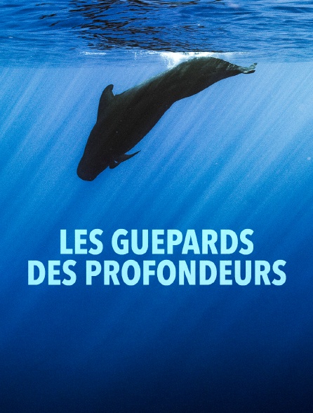 Les guépards des profondeurs