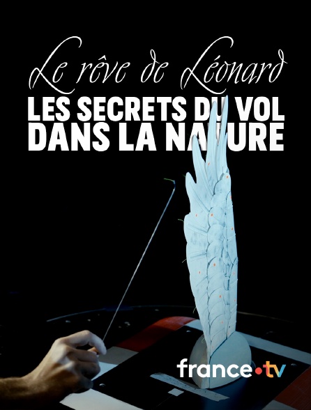 france.tv - Le rêve de Léonard : les secrets du vol dans la nature en replay