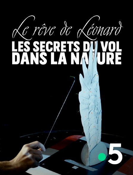 France 5 - Le rêve de Léonard les secrets du vol dans la nature