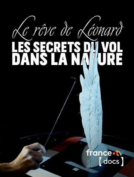 France TV Docs - Le rêve de Léonard les secrets du vol dans la nature en replay