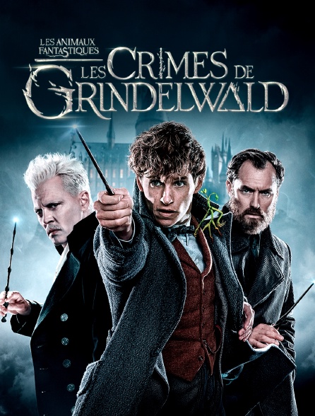 Les animaux fantastiques : les crimes de Grindelwald en Streaming -  