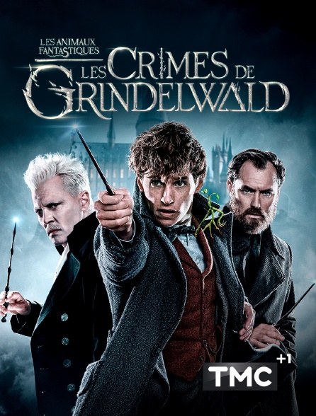 TMC +1 - Les animaux fantastiques : les crimes de Grindelwald