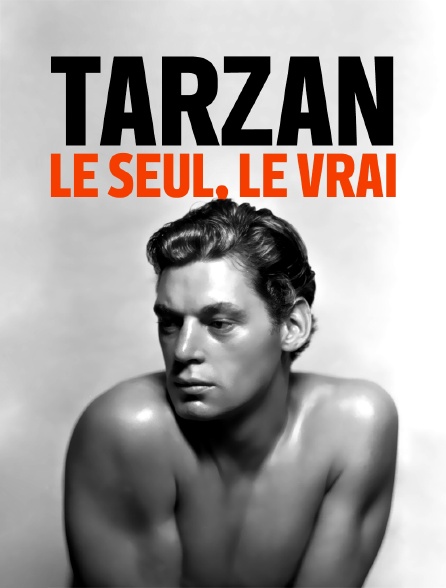 Tarzan le seul le vrai en streaming gratuit