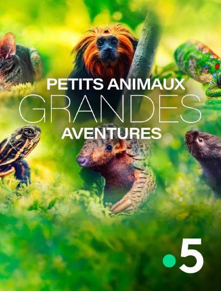 France 5 - Petits animaux, grandes aventures