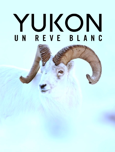 Yukon : Un rêve blanc