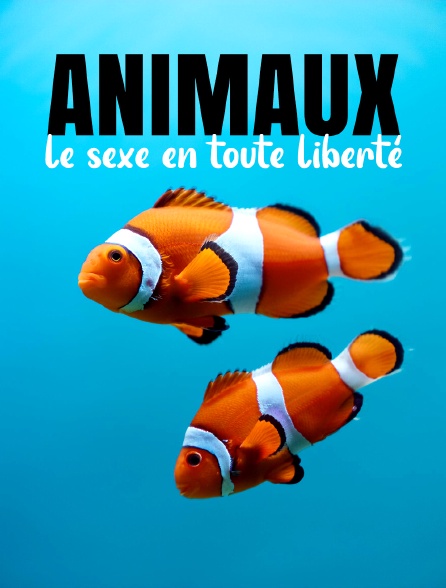 Animaux : le sexe en toute liberté