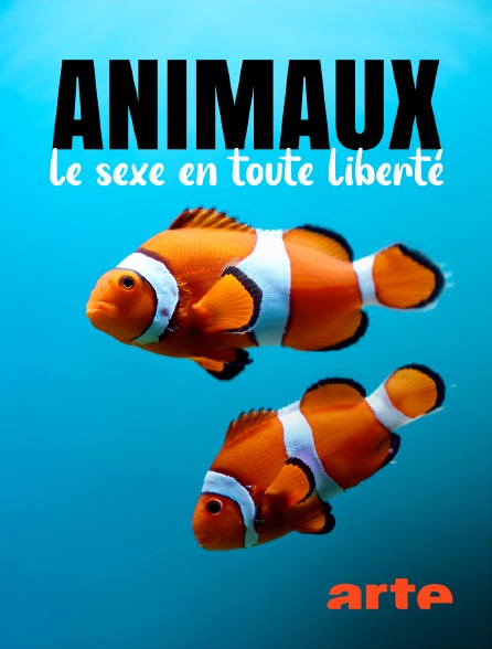 Arte - Animaux : le sexe en toute liberté