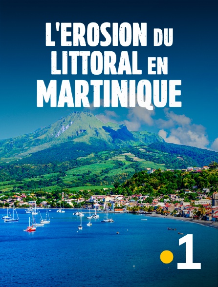 La 1ère Martinique - L'érosion du littoral