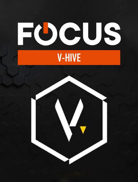 Focus - V-Hive