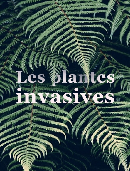 Les plantes invasives