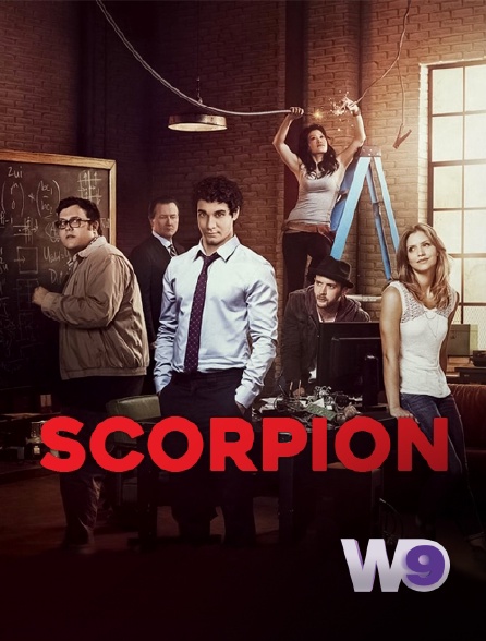 W9 - Scorpion