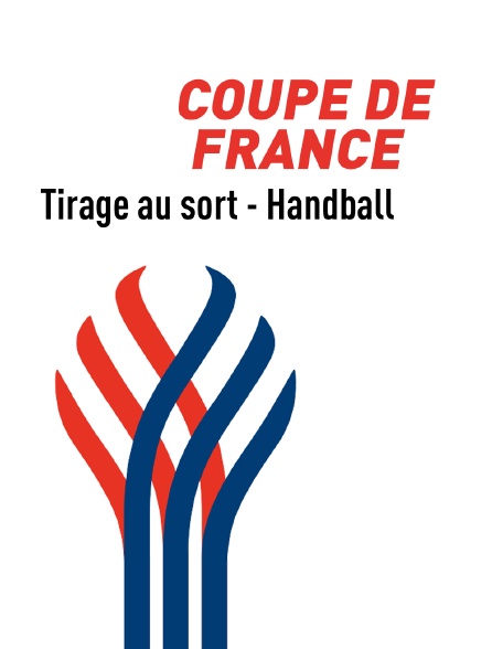 Coupe de France de Handball