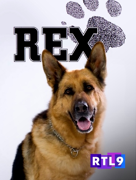 RTL 9 - Rex