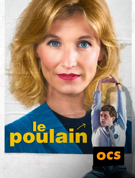 OCS - Le poulain