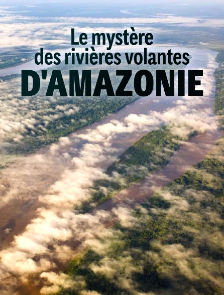 Le mystère des rivières volantes d'Amazonie