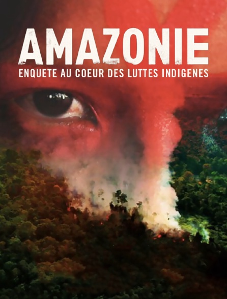 Amazonie - Enquête au coeur des luttes indigènes