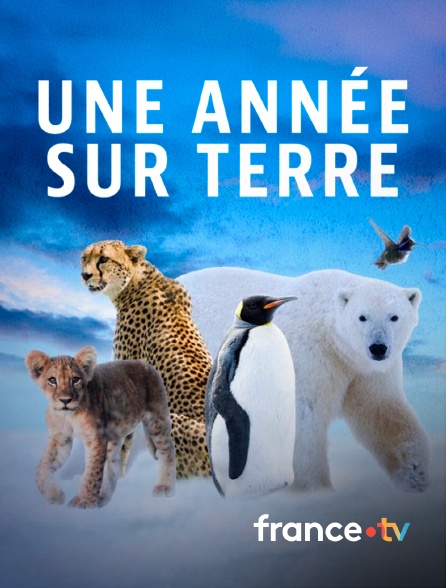 france.tv - Une année sur Terre en replay
