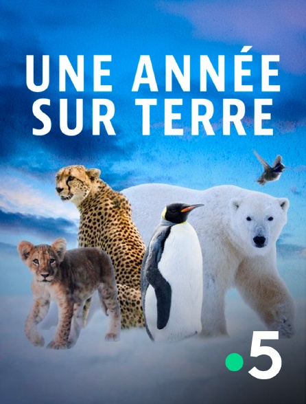 France 5 - Une année sur Terre - 09/09/2024 à 21h57