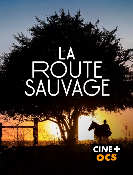 CINÉ Cinéma - La route sauvage