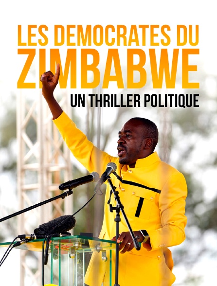 Les démocrates du Zimbabwe : Un thriller politique