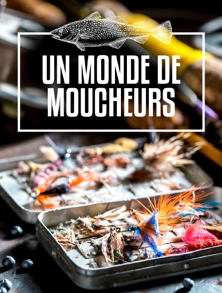 Un monde de moucheurs