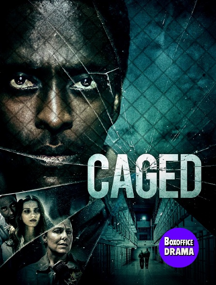 Box Office Drama - Caged