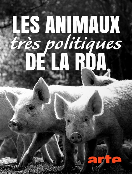 Arte - Les animaux très politiques de la RDA