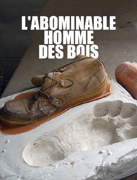 L'abominable homme des bois
