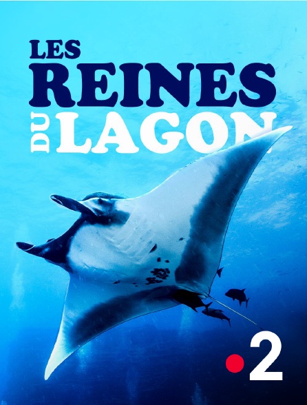 France 2 - Les reines du lagon