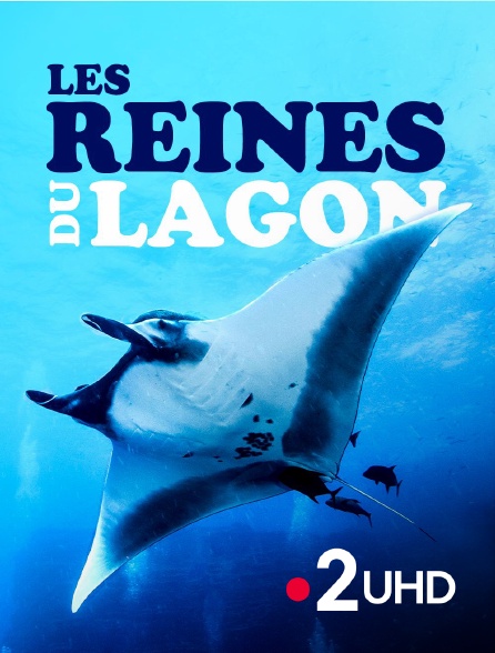 France 2 UHD - Les reines du lagon