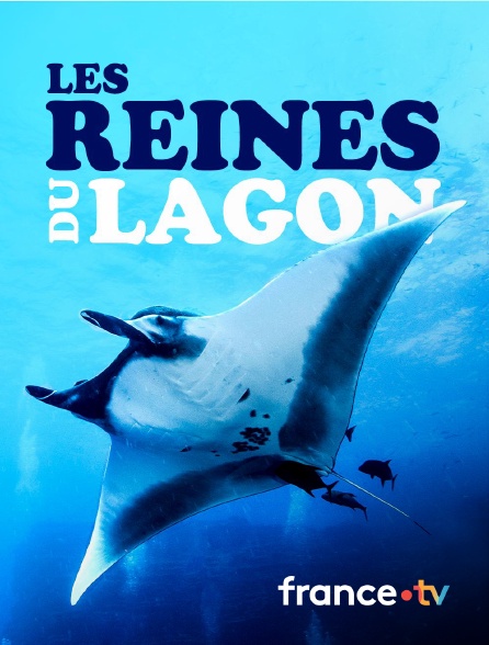 france.tv - Les reines du lagon