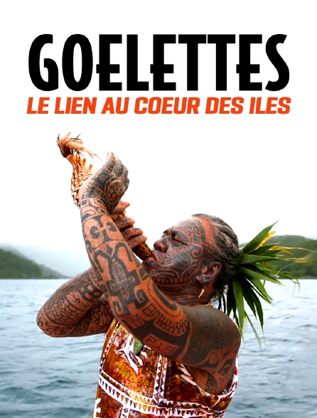 Goélettes, le lien au coeur des îles