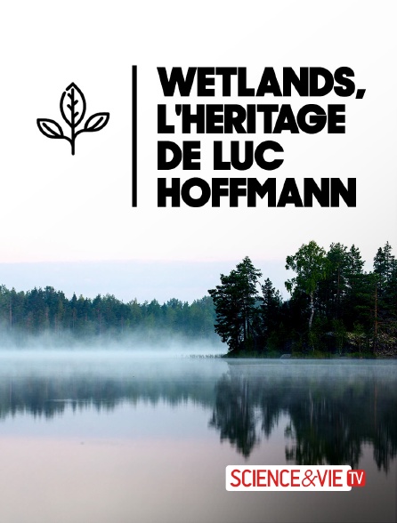 Science et Vie TV - Wetlands, l'héritage de Luc Hoffmann