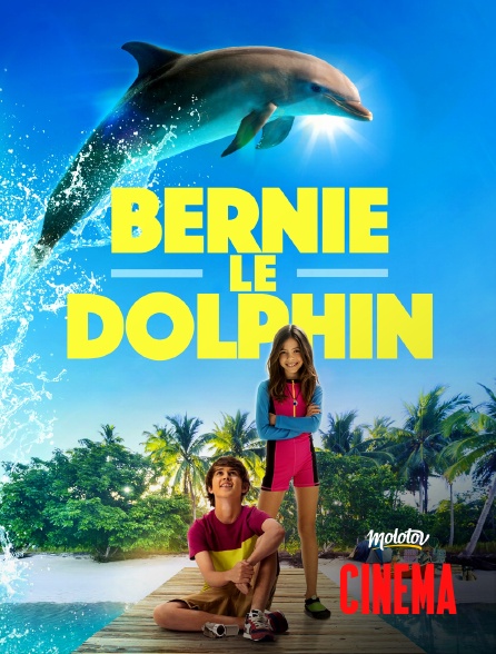 Molotov Channels Cinéma - Bernie le dauphin