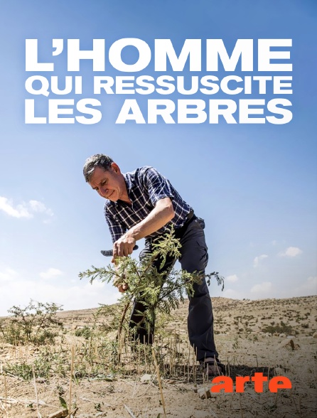 Arte - L'homme qui ressuscite les arbres