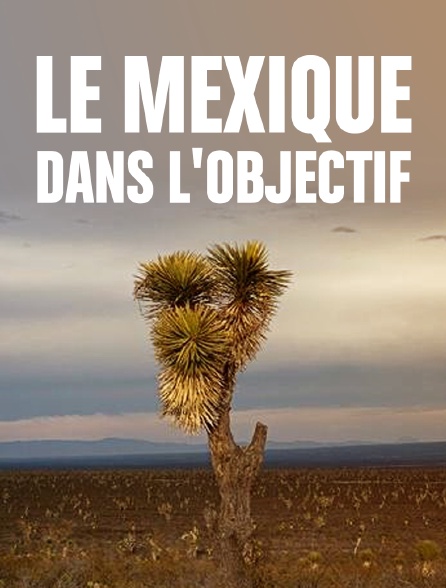 Le Mexique dans l'objectif