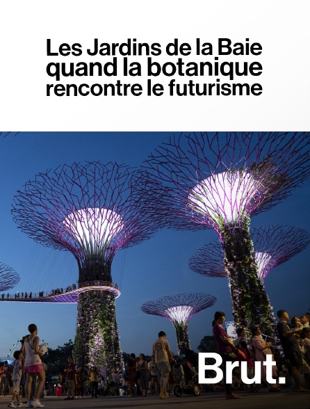 Brut - Singapour : les Jardins de la Baie