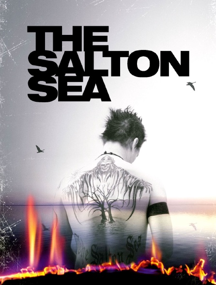 The Salton Sea