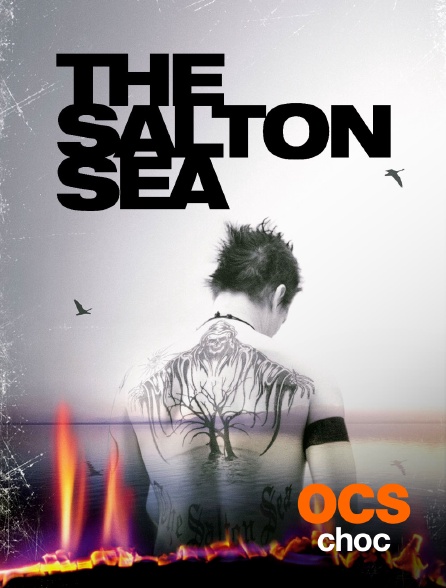 OCS Choc - The Salton Sea