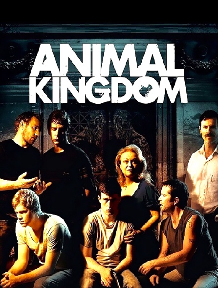 Animal Kingdom Streaming Vf Animal Kingdom en Streaming - Molotov.tv
